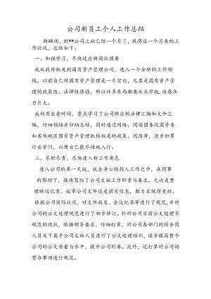 公司新员工个人工作总结.docx