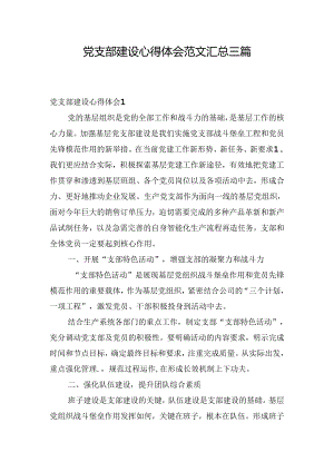 党支部建设心得体会范文汇总三篇.docx