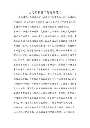 公司新职员工作总结范文.docx