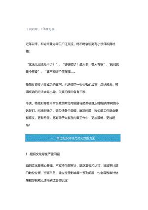 「转」干废内审20种可能….docx