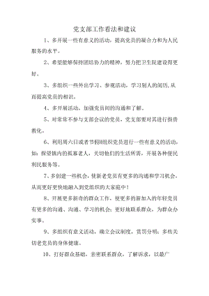 党支部工作意见和建议.docx
