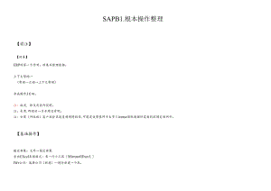 SAPB1基本操作整理.docx