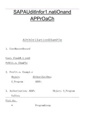 SAPAuditInformationandApproach.docx