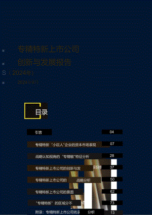 专精特新上市公司创新与发展报告（2024年）.docx