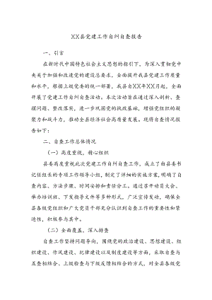 XX县党建工作自纠自查报告.docx