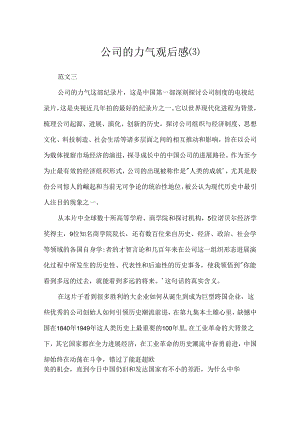 公司的力量观后感.docx