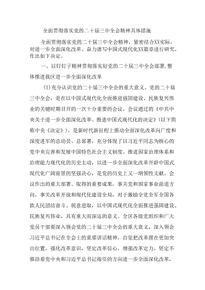 全面贯彻落实党的二十届三中全会精神具体措施.docx
