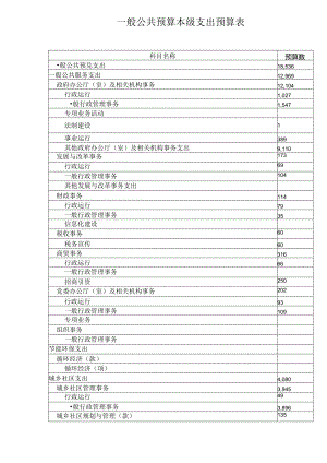 一般公共预算本级支出预算表.docx