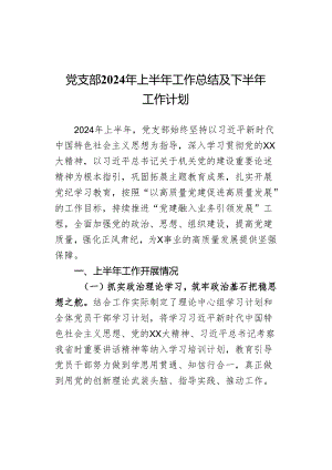 党支部2024年上半年工作总结及下半年工作计划.docx