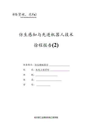仿生感知与先进机器人课程报告.docx