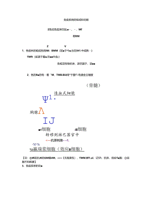免疫调节(知识点笔记).docx
