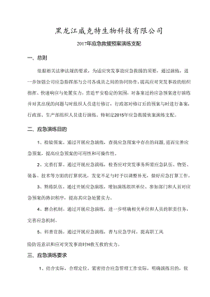 公司应急预案演练计划.docx