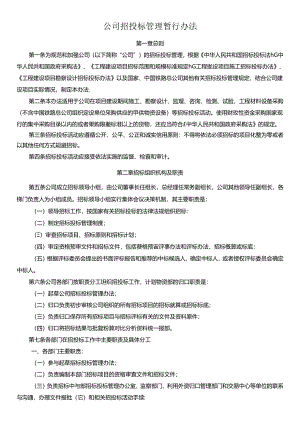 公司招投标管理暂行办法.docx