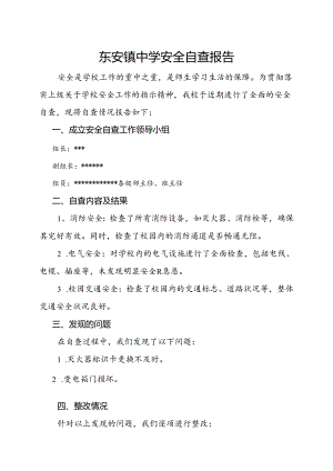 东安镇中学安全自查报告.docx