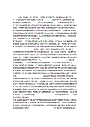 公司治理审计.docx