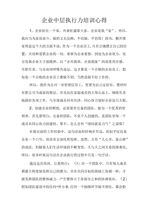 企业中层执行力培训心得.docx