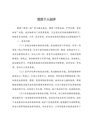 党员个人自评发言材料.docx