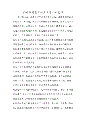 公司试用员工转正工作个人总结.docx
