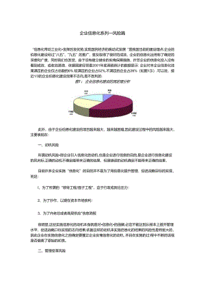 企业信息化系列——风险篇.docx