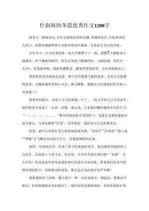 什刹海的冬晨优秀作文1200字.docx