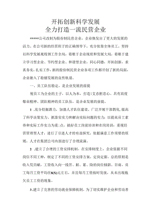 优秀民营企业先进事迹.docx