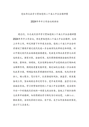 党组书记在学习贯彻党的二十届三中全会精神暨2024年年中工作会议的讲话范文.docx