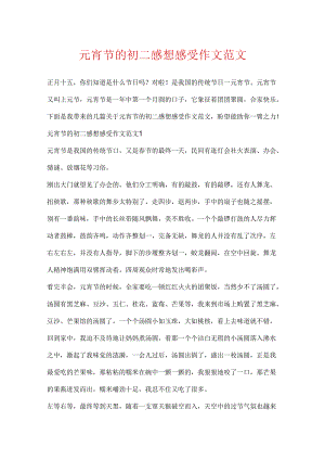 元宵节的初二感想感受作文范文.docx