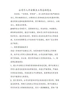 公司个人安全保卫工作总结范文.docx