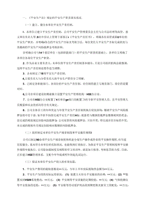 企业主要负责人安全生产履职情况报告.docx
