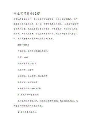专业实习报告12篇.docx