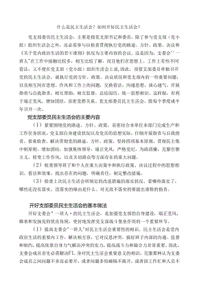 什么是民主生活会.docx