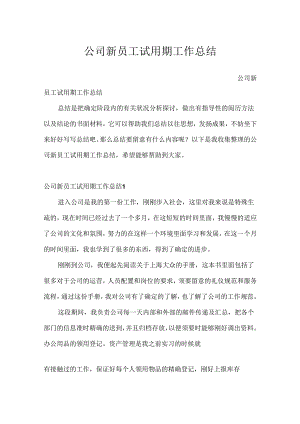 公司新员工试用期工作总结.docx