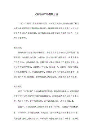 光谷地块市场前景分析.docx