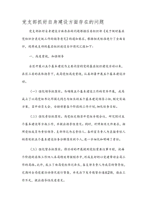 党支部抓好自身建设方面存在的问题.docx