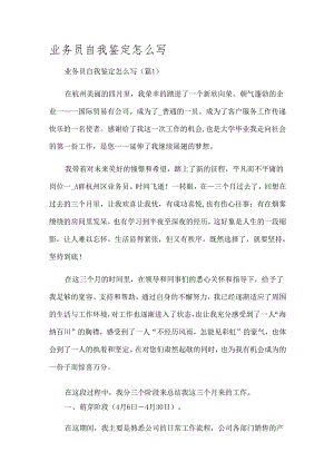业务员自我鉴定怎么写.docx