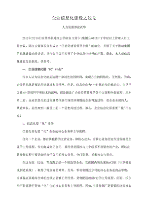 企业信息化建设之浅见.docx