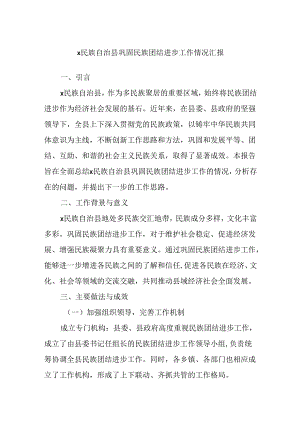 X民族自治县巩固民族团结进步工作情况汇报.docx