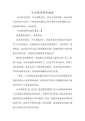 公司领导新年致辞.docx