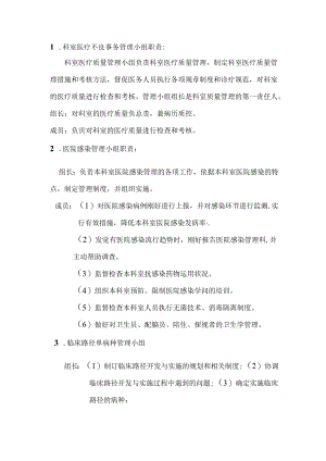 儿科二病区医疗质量与安全管理小组职责.docx