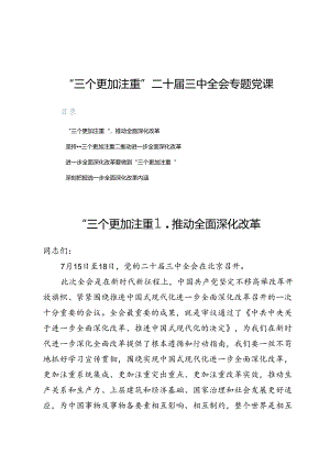“三个更加注重”二十届三中全会专题党课.docx