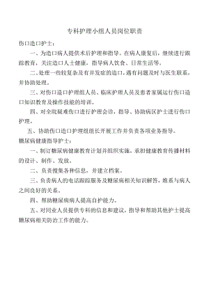 专科护理小组人员岗位职责.docx