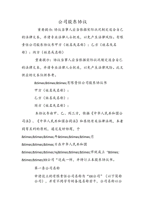 公司股东协议.docx
