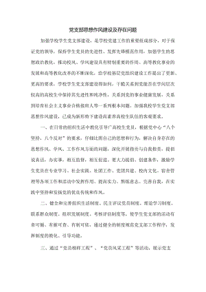 党支部思想作风建设及存在问题.docx