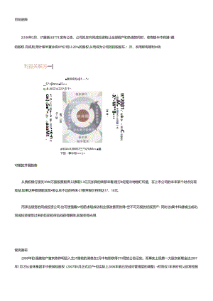 ST雅砻：债权银行解套“担保圈”.docx