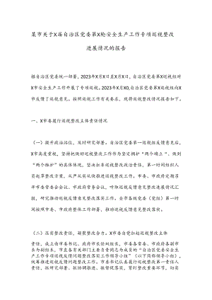 某市关于X届自治区党委第X轮安全生产工作专项巡视整改进展情况的报告.docx
