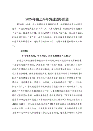 党支部书记2024年度上半年党建述职报告.docx