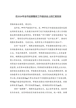2024年在全市巡察整改工作座谈会上的汇报发言文稿.docx