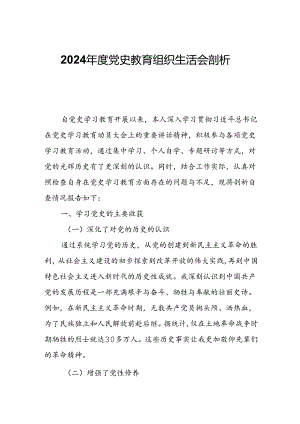 2024年度党史教育组织生活会剖析自查报告.docx