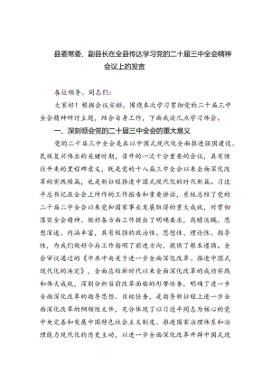 县委常委、副县长在全县传达学习党的二十届三中全会精神会议上的发言8篇（精选版）.docx