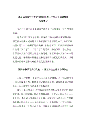 （12篇）基层法院青年干警学习贯彻党的二十届三中全会精神心得体会（详细版）.docx